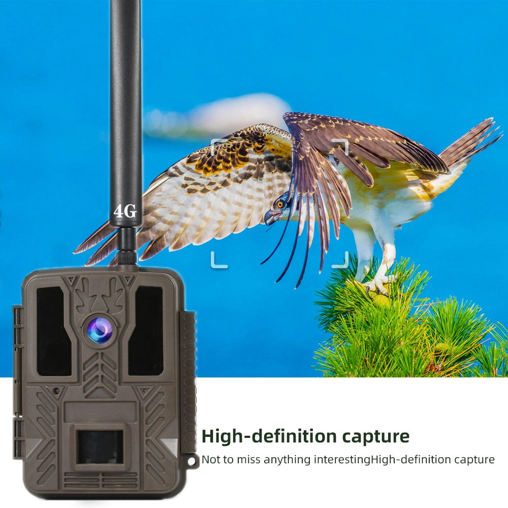 Bstcam 4G LTE SMTP MMS GPS IP67 Waterproof Outdoor Wildlife Hunting Camera 4G